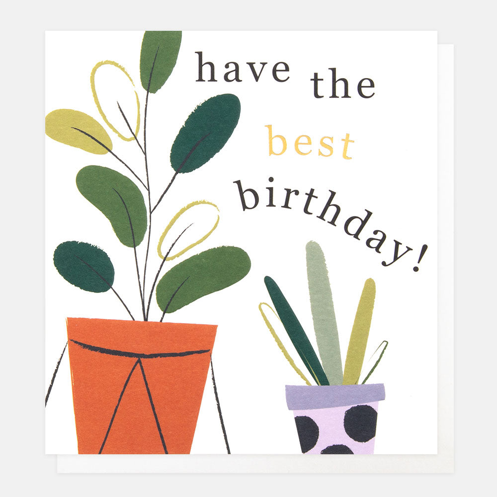 INR007-Caroline G-Have The Best Birthday-Card-In Repeat