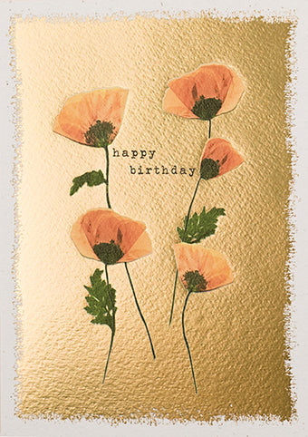 ERE04K-Meraki-Birthday Poppies