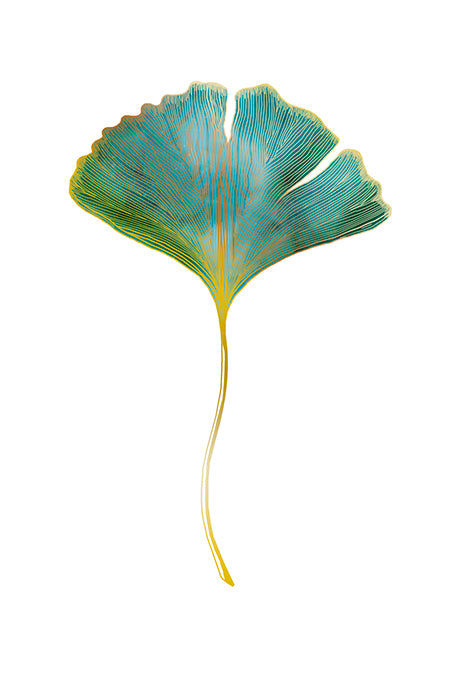 9980400055-Editions du Desastre-Card-Icones