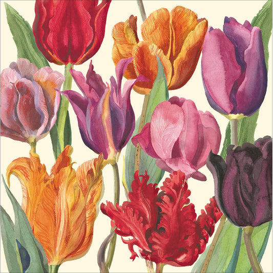 516962-Woodmansterne-P Cardsngl Emmab Blank Tulips-Card-Emma Bridgewater