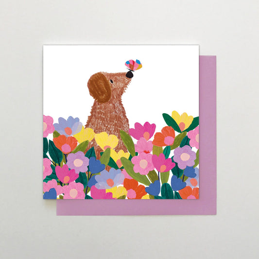 AC011-Stop The Clock-Dog With Butterfly-Card-Art Card