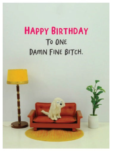 FB010-Bold & Bright-Happy Birthday-Card-Furballz