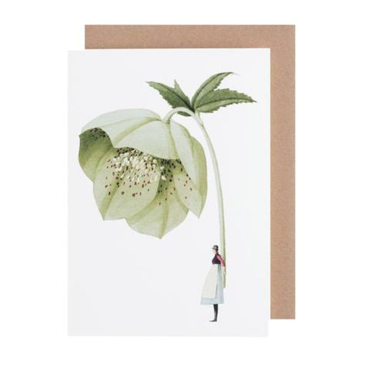 GC014-Laura Stoddart-Green Hellebore-Greeting Cards-Card