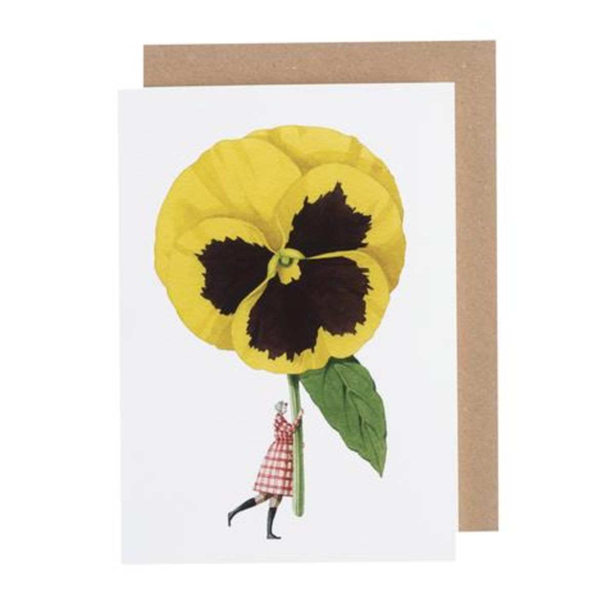 GC017-Laura Stoddart-Pansy-Greeting Cards-Card