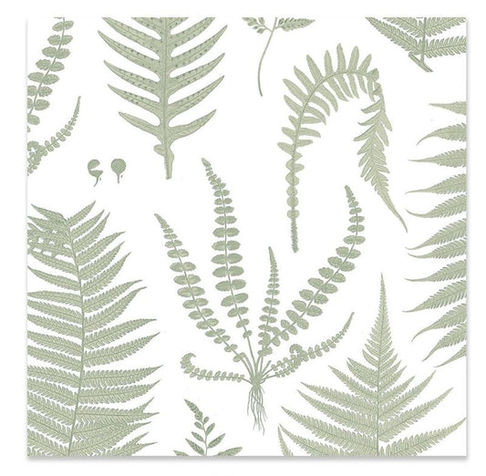 TWCN004 Live Wires New Zealand Ferns Cotton Napkin