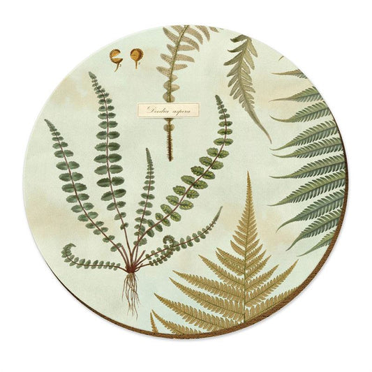 TWPM029 Live Wires New Zealand Ferns Placemat