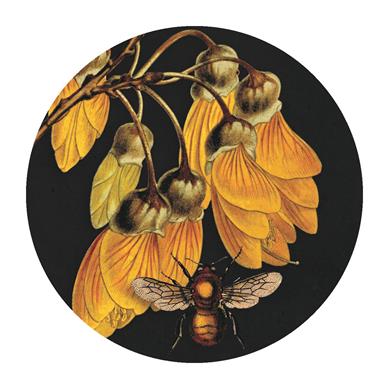 TWCM003 Live Wires Kowhai & Bee Cosmetic Mirror 8cm