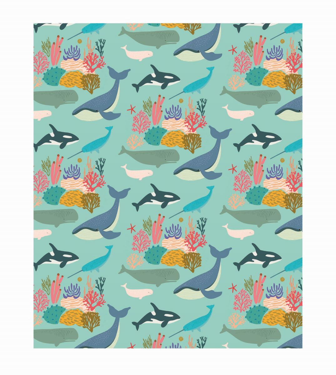 W049-Earlybird-Whales-Wrap-