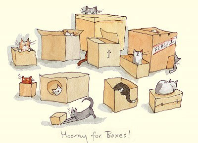 M353-Two Bad Mice-Hooray For Boxes-Card-