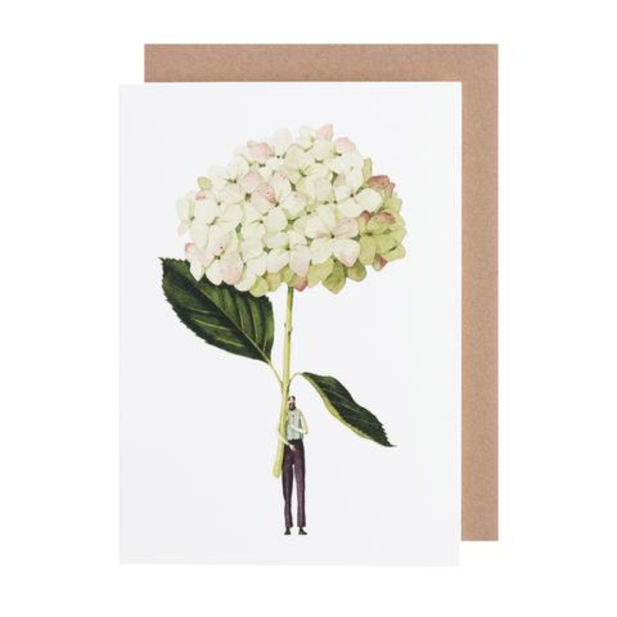 GC023-Laura Stoddart-Green Hydrangea-Greeting Cards-Card