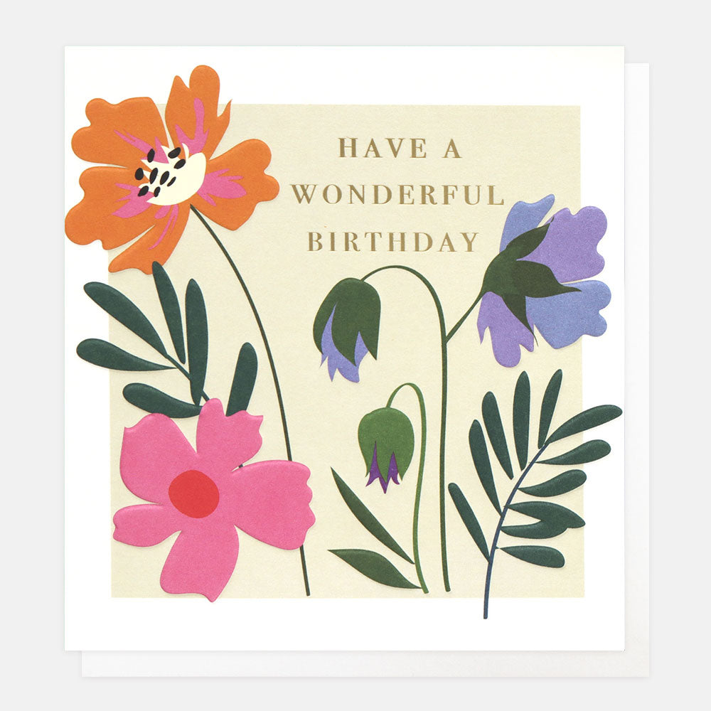 MED016-Caroline G-Have A Wonderful Birthday-Card-Meadow